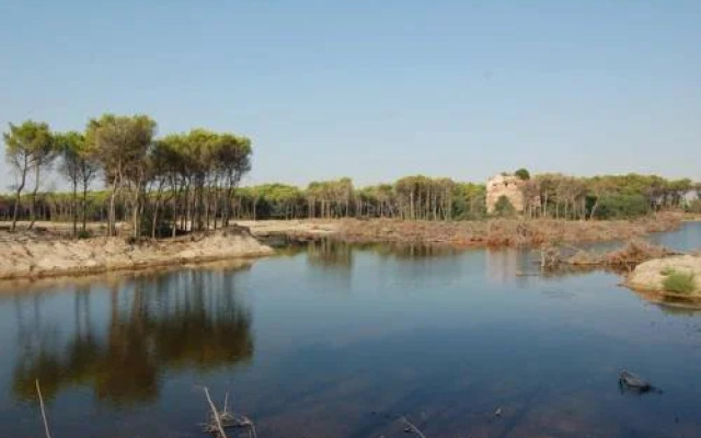 Cassiopea Hotel