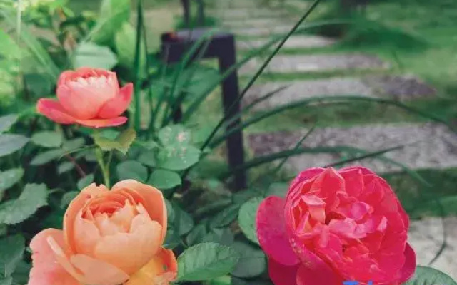 Huamanli · Zen Healing Homestay (Yunhe Terrace Scenic Area)
