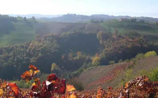 Al Centro del Borgo