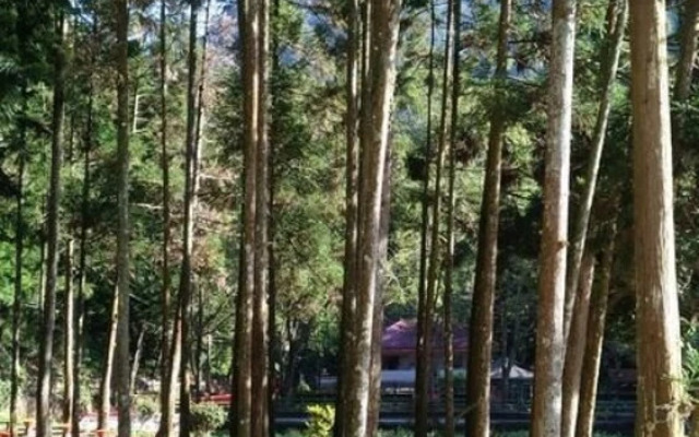 Chun Gu Farm