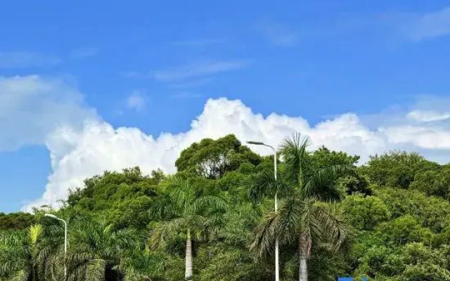 haijiaoyihao Homestay (Xiamen Huangcuo Beach)