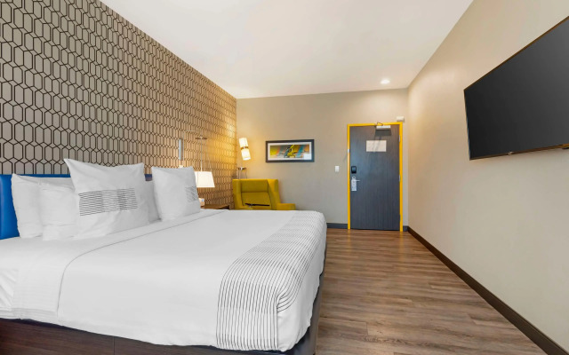 GLō Best Western Dallas South DeSoto