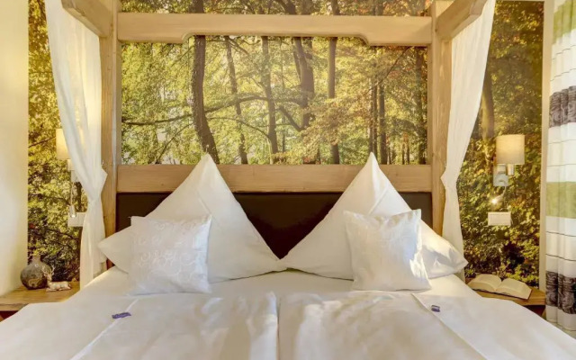 Hotel Hirschenstein