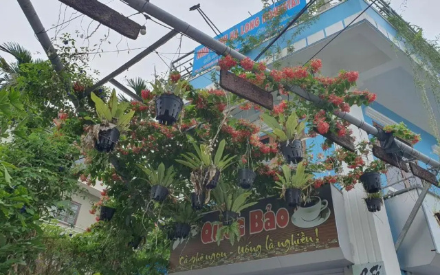Nha Xanh Ha Long Homestay