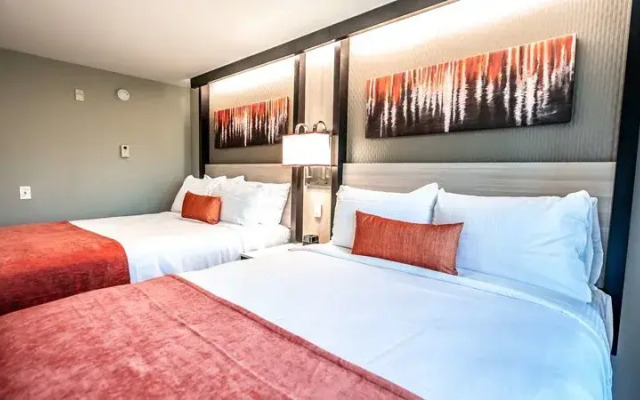 SpringHill Suites by Marriott Conyers