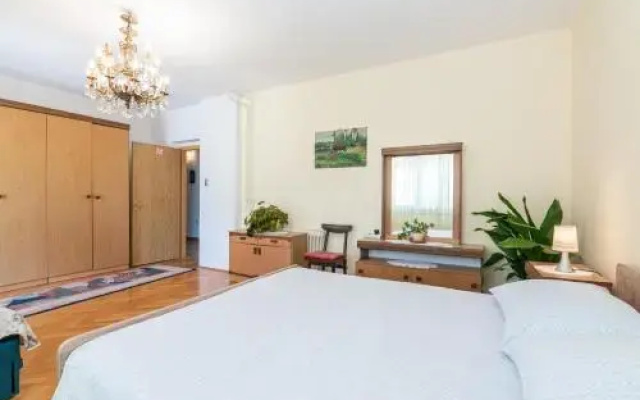 Apartment Vida