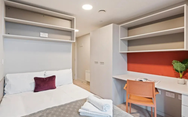 Spacious New 6BR Apt in City Centre - Sleeps 6
