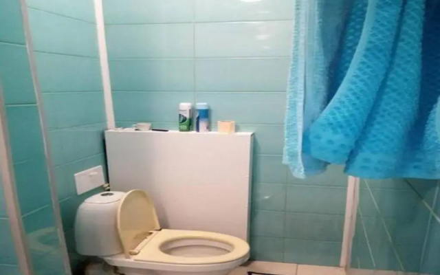 Zanevsky guest house