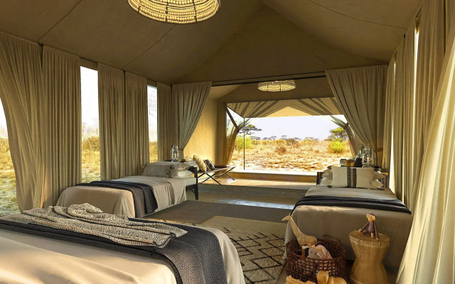 Serengeti Sojourn