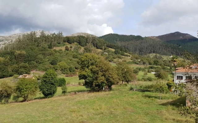 El Búho de la Remolina
