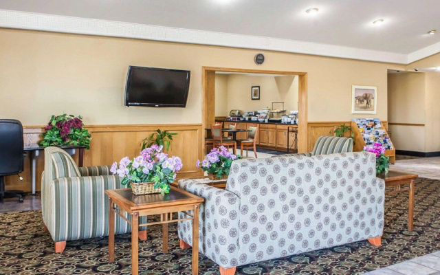 catalogImage