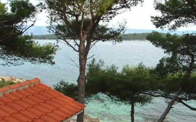 House Ivo
