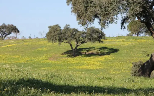 Monte Aguentinha Do Campo