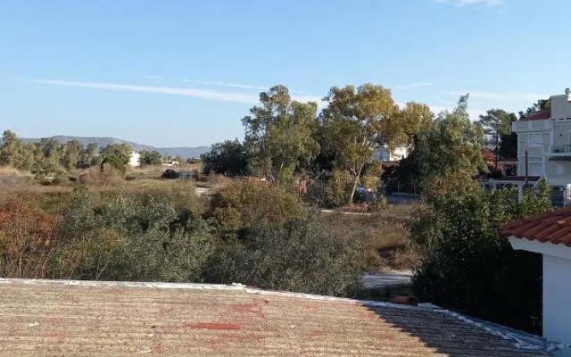 Elizas house