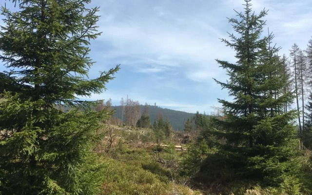 Bergwelt Braunlage