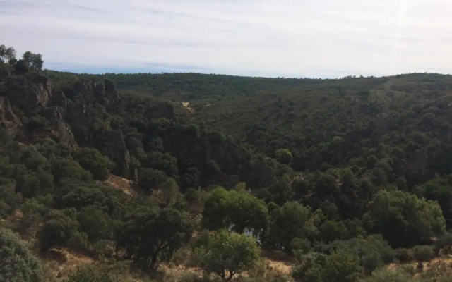 La Cerca Del Alcornoque