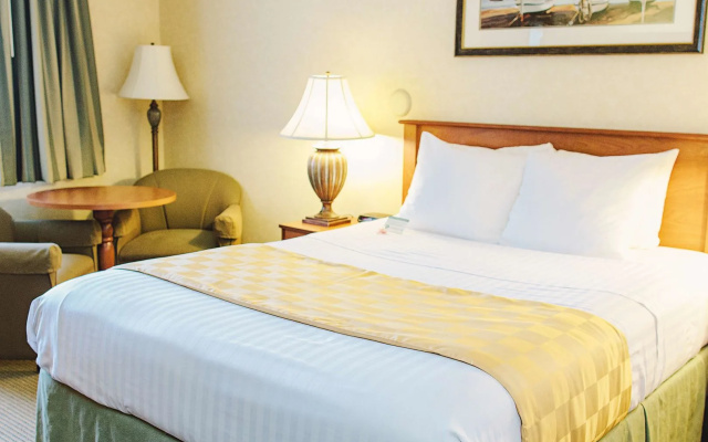 Lavissh Inn & Suites