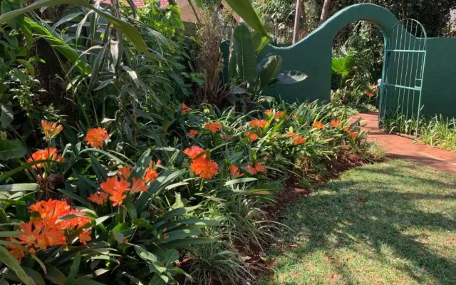Villa Grande Lodge
