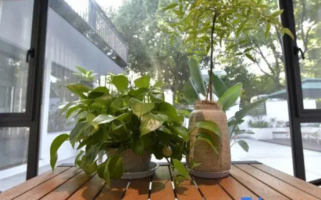 jiangshangju