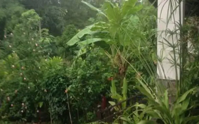 Homestay Punnasa