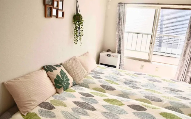 [206] Maison Junu D 206