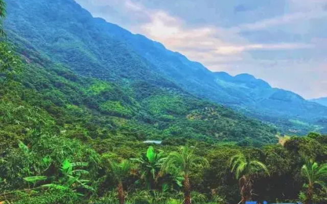 Guangzhou Shimen Valley Secret B&B