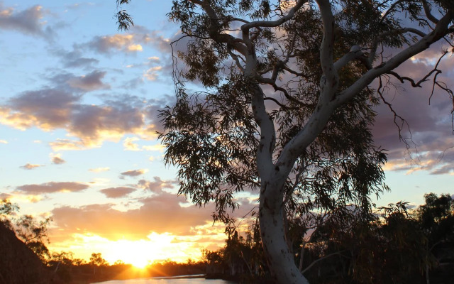 Wooleen Station