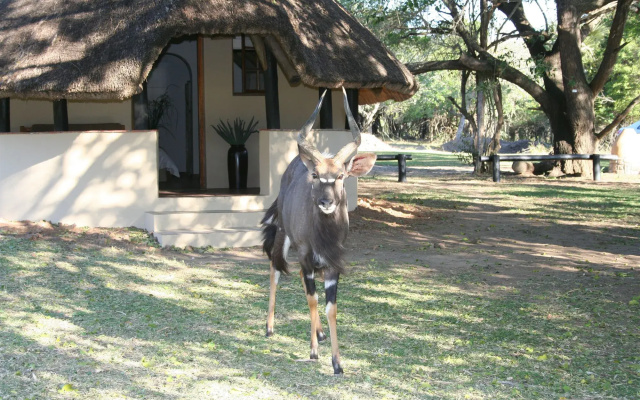 Bonamanzi Game Reserve