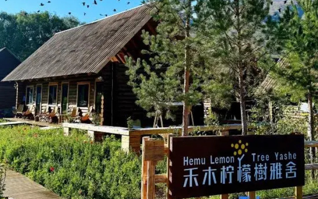 Hemu Lemon Tree Yashe