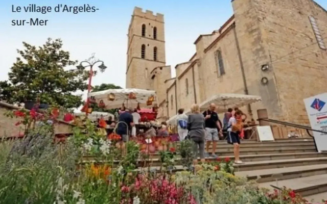 Appartement Argelès-sur-Mer, 1 pièce, 4 personnes - FR-1-225-445