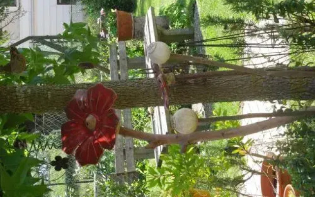 Frühstückspension Kammerer "Zum Grünen Baum"