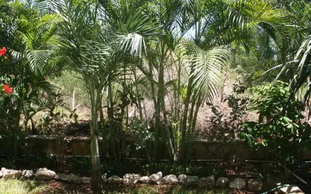 Casa Andalucía