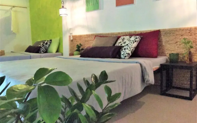 Domino Homestay