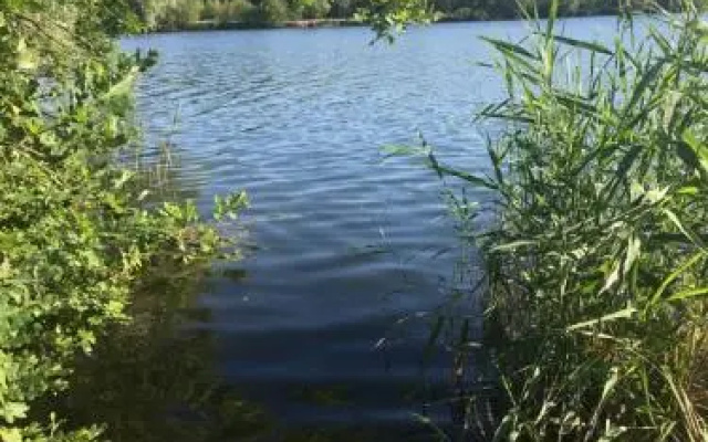 Gästewohnung am See