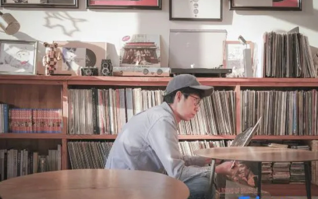 Harvestmoon Vinyl Record Villa