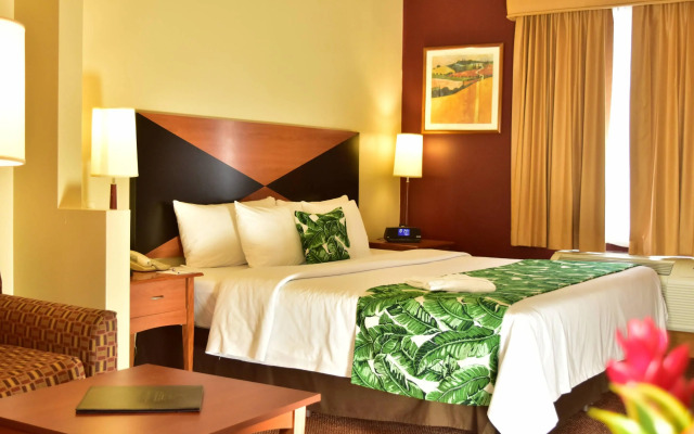 Sleep Inn Hotel Paseo Las Damas