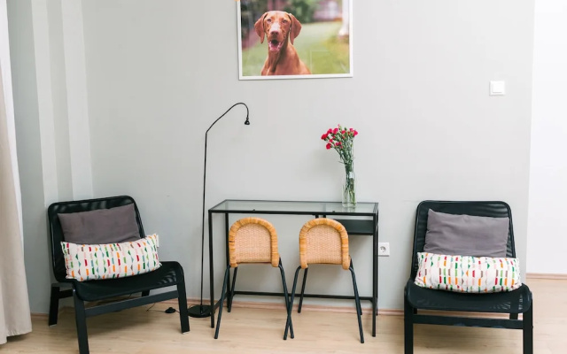 Dfive Apartments - Vizsla