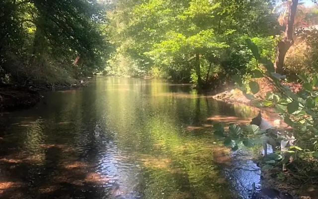 Moulin à huile chambre d’hôtes