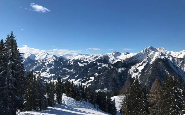 Pension Zum wilden Hannes