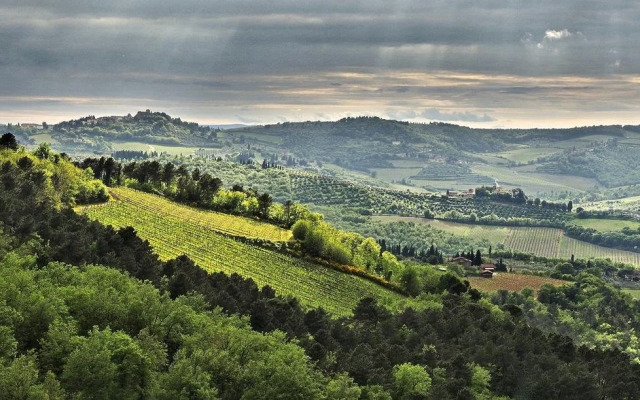 Agriturismo Poggio allOlmo