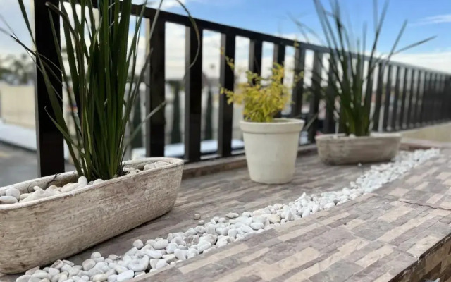 Departamentos Bonsai