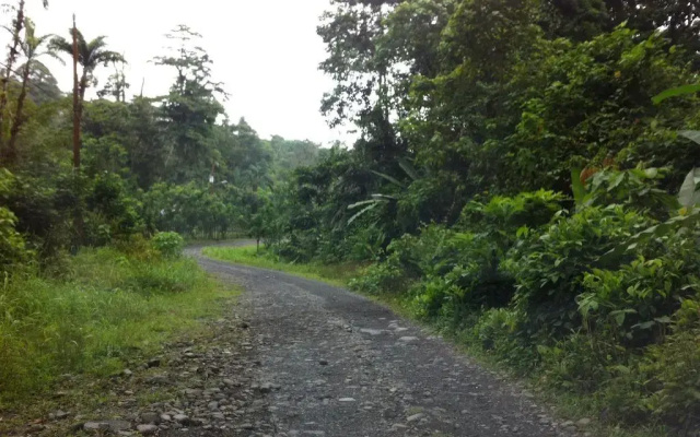Casa Rio Blanco Eco Friendly B&B