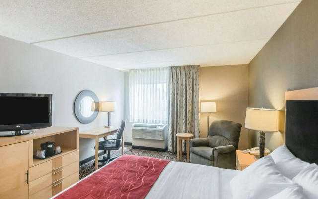 Comfort Inn - NYS Fairgrounds