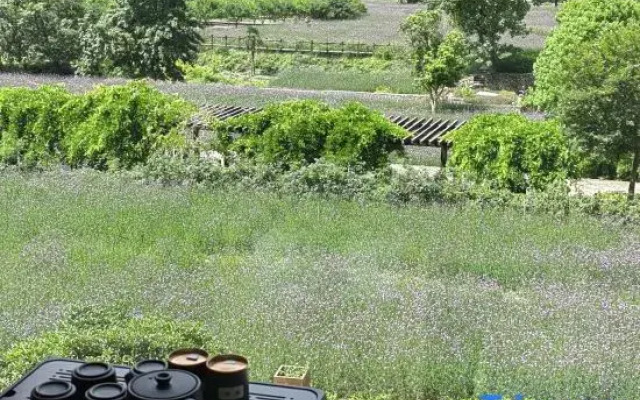 Yandang Muxin Homestay