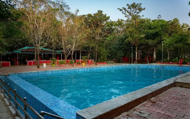Panther Jungle Stay