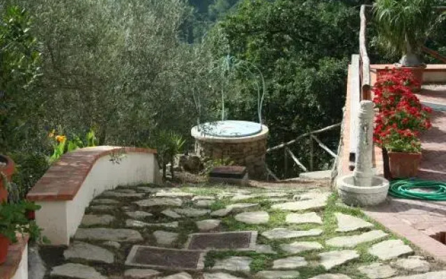 Al Tripiciano
