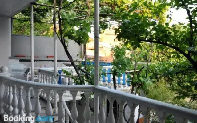 Tbilisi Hostel
