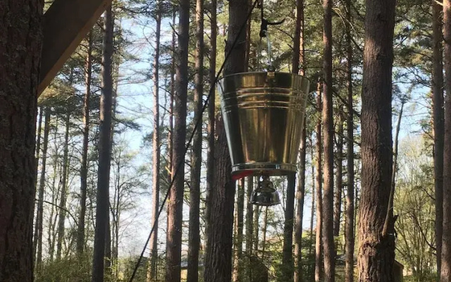 Wildwoodz Cabins