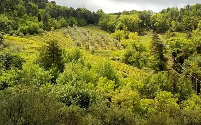 Little B&B Della Pieve
