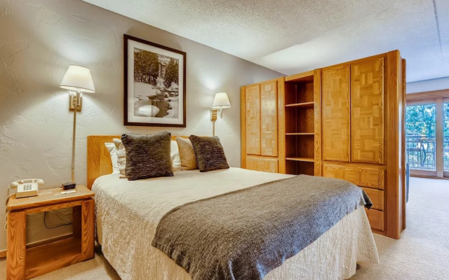 Lift House Lodge, Vail Lionshead Studio Condo, Walk to Gondola
